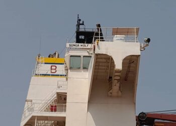 Coopération : AGL et Cosco signent un partenariat stratégique, avec une escale d’un navire transportant 53 conteneurs à Conakry