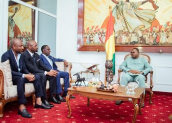 Audience : des investisseurs togolais chez le Président du CNT