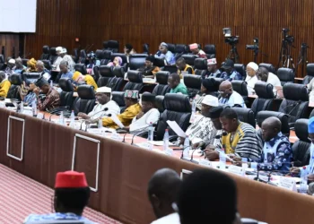 Plénière : Approbation de l’Accord-cadre entre Électricité de Guinée (EDG SA) et la Société TOPAZ Multi-Industries SA