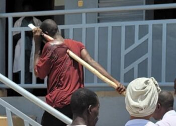 Lola : un cueilleur de palmes accidenté grièvement transféré à N’Zérékoré