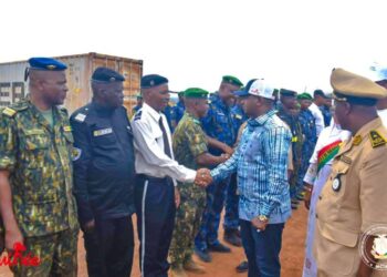 Campagne agricole : « Nourrir la Guinée avec ses propres ressource » ambitionne le gouvernement