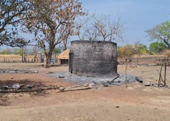 Mali/Denghen : 13 cases ravagées par un incendie