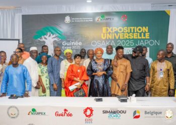 Exposition Universelle Osaka 2025 : La Guinée y prendra part, annonce la Dr Djaka Sidibé