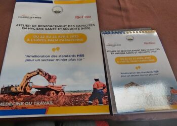 Rio Tinto et Simfer participent à un atelier national sur la santé, la sécurité et l&rsquo;environnement en Guinée