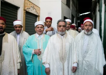 Tunisie : le recensement 2024 révèle une population vieillissante