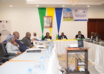 Déclaration de Libreville : un engagement commun pour des transitions démocratiques solides en Afrique centrale et de l’Ouest