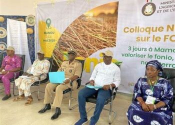 Mamou célèbre le fonio : une céréale ancestrale au cœur du développement agricole
