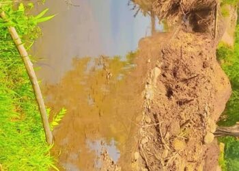 Diatiféré/Kansabranwol asséché : l’exploitation minière illégale fait craindre une crise à la frontière guinéo-malienne