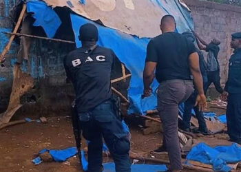 Conakry : une guerre sans relâche lancée contre les consommateurs de la drogue ‘’kush’’  