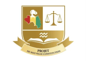 Vulgarisation du projet de la nouvelle constitution : Voici une proposition ‘’efficace’’ d’Oumar Dianè (Contribution)