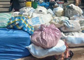 Guinée/Lutte contre la drogue kush: plus de 16kgs saisis à Kaloum  