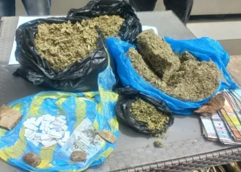 Lutte contre la drogue : 1 500g de Kusch saisis à Kaloum et Dixinn