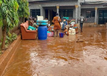 Coyah/Manéah : Sans surprise une inondation enregistrée à bananeraie