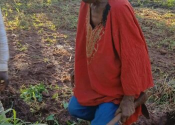 Dinguiraye/Diatiféré : À 111 ans, Thierno Macky Touré lance un ultime appel pour Lountou