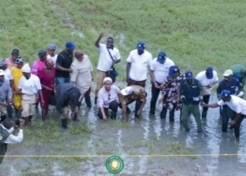 Environnement : Lancement officiel de la campagne de reboisement 2025 à Dubréka