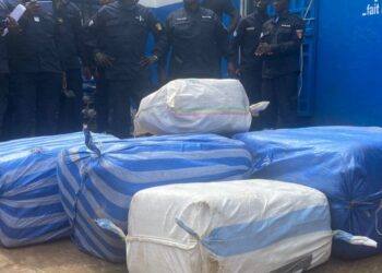 Drogue Kusch à Matam : L’autorité communale se réveille pour la lutte