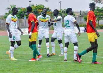 CHAN 2025 : Le Syli Local sur le Fil du Rasoir avant la Phase Finale