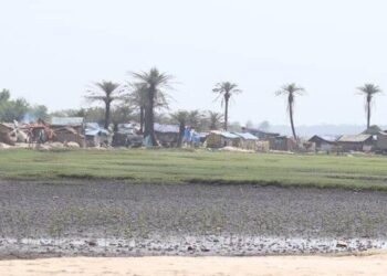 Boffa/Agriculture : Inondations dans les plaines de Koba, les paysans expriment leur ras-le-bol