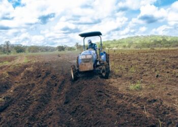 UMS et le consortium SMB-Winning lancent la phase 2 du projet rizicole à Boké