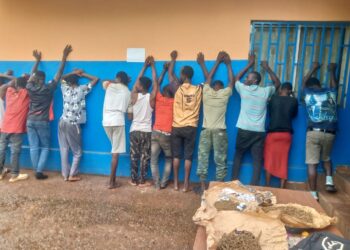 Vente et consommation de la Drogue Kusch : 13 personnes interpellées