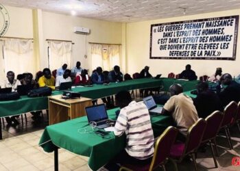 Guinée : l’étude environnementale de la SOBRAGUI SA rejetée (raisons)