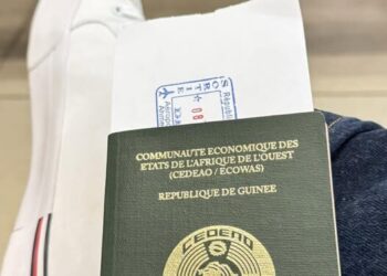 Difficultés de voyages vers l’extérieur : ces précieux conseils d’Alimou Sow