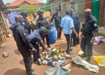 Pamelap : 100 kilogrammes de chanvre indien saisis par la Police