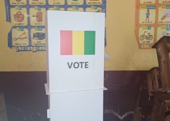 Référendum constitutionnel: la fermeture des bureaux de vote ramenée à 19 heures (décision)