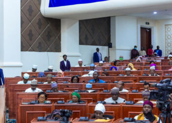 Tchad : le parlement valide la création d’une commission spéciale pour la révision constitutionnelle