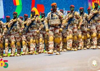 Guinée: plusieurs Militaires de l’armée radiés pour  »inconduite »  (liste)
