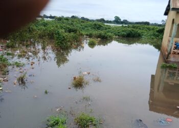 Mandiana-Montée inquiétante des eaux : Plusieurs localités isolées et des habitations inondées