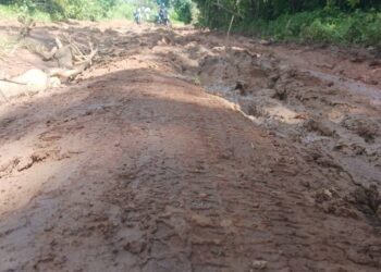 Telimélé : le calvaire des usagers sur le tronçon Koba–Santou