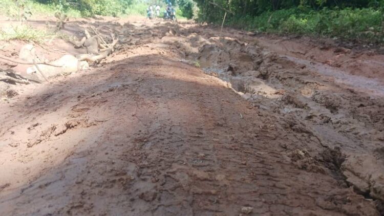 Telimélé : le calvaire des usagers sur le tronçon Koba–Santou