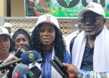 Kindia : 13 milliards pour relancer la production d’ananas en Basse-Guinée