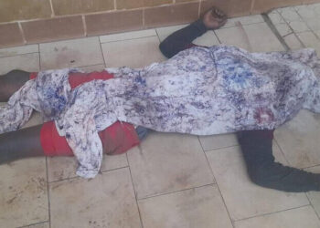 Matam : la drogue Kush fait une nouvelle victime à Boussoura