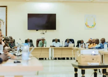 Le CNT poursuit l’examen des lois organiques : focus sur la Cour constitutionnelle