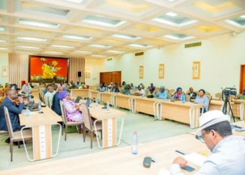 Énergie : le CNT examine la convention de financement du projet de centrale thermique de Kankan