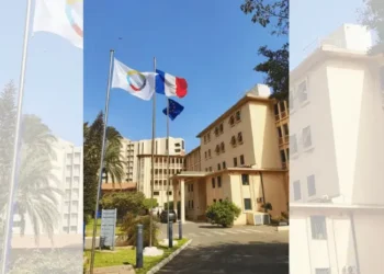 Demandes de visas pour le GSEF à Bordeaux : ‘’beaucoup de dossiers nous sont arrivés incomplets ou avec des justificatifs douteux..’’ (Ambassade de France au Sénégal)