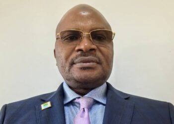 L’Afrique face au changement climatique : attentes et espoirs à la COP30