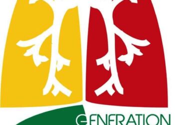 Lutte contre le tabagisme : l’ONG ‘’Génération Sans Tabac Guinée’’ félicitée par l’OMS pour la réussite de son plaidoyer