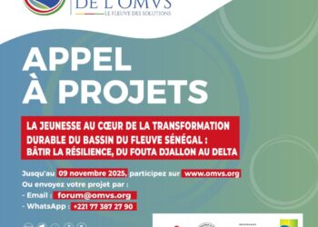 Forum de OMVS: Appel à Projets