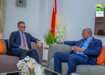 Le Haut-Commissaire de l’OMVS, Mohamed Abdel Vetah, salue l’engagement de la Guinée pour le premier projet énergétique de l’Organisation sur son territoire