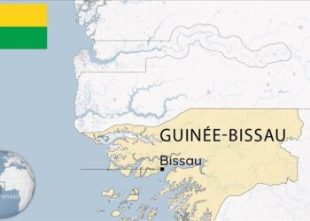 Guinée-Bissau : La CEDEAO suspend le pays de toutes ses instances après le coup d’État