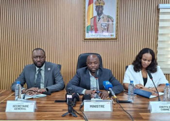 Guinée/Examens professionnels 2025: Le taux de réussite est de 92,06 % (Ministre François Bourouno)