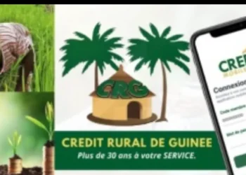 Communiqué – Mise au point du Crédit Rural de Guinée (CRG)