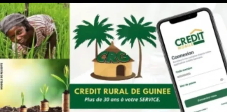 Communiqué – Mise au point du Crédit Rural de Guinée (CRG)