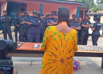 Guinée/Trafic de drogue : Une femme interpellée avec plus de 16 Kg de drogue Hachisch (Police Nationale)