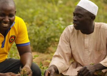 Economie : la BAD approuve 200 millions de dollars pour renforcer la production agricole au Nigeria