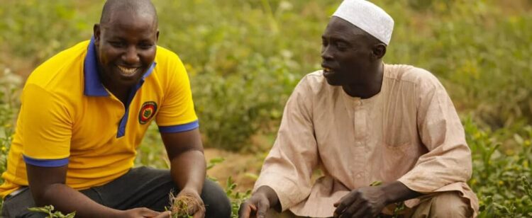 Economie : la BAD approuve 200 millions de dollars pour renforcer la production agricole au Nigeria