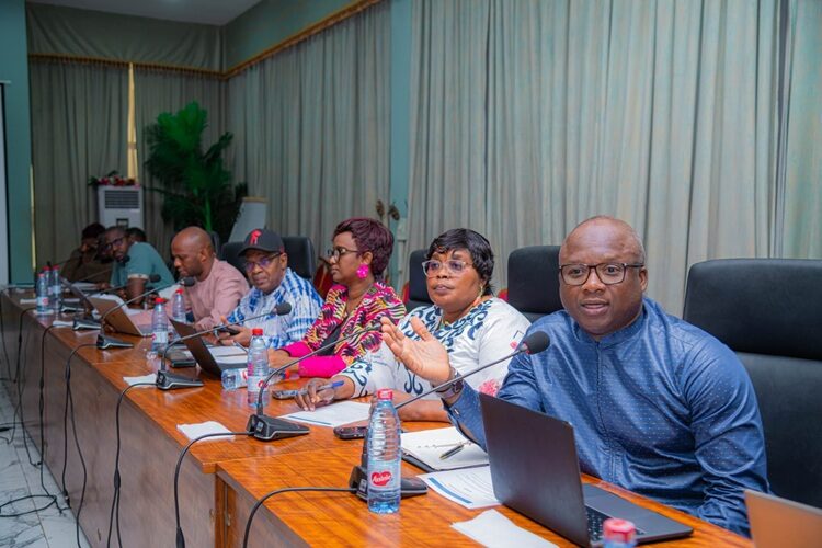 Financement additionnel du programme NAFA : le CNT échange avec l’ANIES sur un appui de 50 millions de dollars